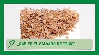 ¿Qué es el SALVADO DE TRIGO [upl. by Kathye77]