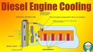 Marine Diesel Engine Cooling Water System [upl. by Electra707]