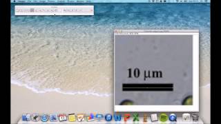 Tutorial ImageJ [upl. by Trebled]