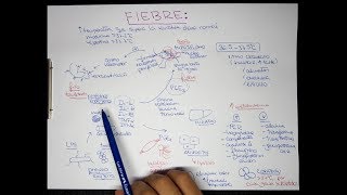 FIEBRE Fisiopatología [upl. by Nnoj]