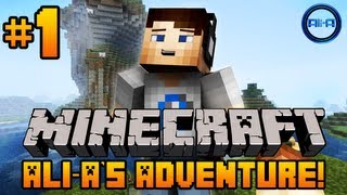 Minecraft  AliAs Adventure 1  quotFALLING SHEEPquot [upl. by Arlin]