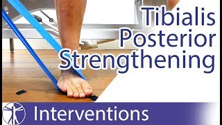 Tibialis Posterior Strengthening  Flat Feet Exercise [upl. by Patti]