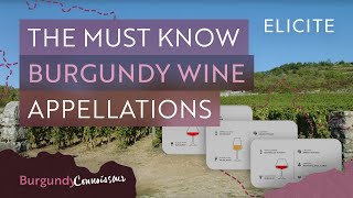 The Complete Guide To Key Burgundy Appellations [upl. by Zerlina]