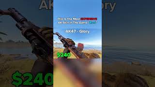 Cheapest VS Most Expensive AK Skins Rust [upl. by Reivazx212]