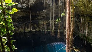 Top 8 Mexican Cenotes [upl. by Marlen]