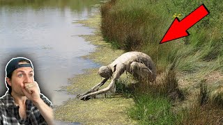 Top 3 SCARIEST runins with unknown predators  Missing 411 Part 14 [upl. by Anerom]