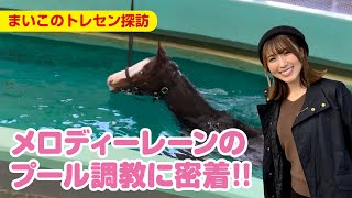 【衝撃映像！！】【まいこのトレセン探訪】メロディーレーンは泳ぎが得意だった！競馬競馬王 [upl. by Gnak]