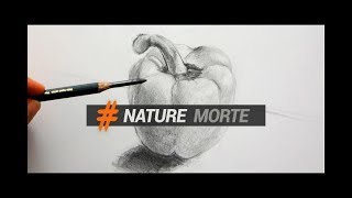 DESSINER DES NATURES MORTES OU OBJETS DU QUOTIDIEN [upl. by Carpio]