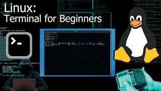 Kali Linux Terminal  Command Line for Beginners Tutorial [upl. by Christal]