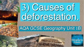 3 Causes of deforestation  AQA GCSE Geography Unit 1B [upl. by Hecklau354]