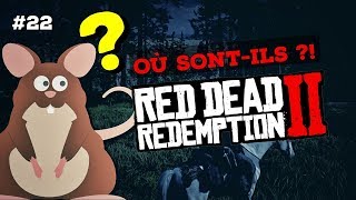 22 OPOSSUM  OÙ LES CHASSER  RED DEAD REDEMPTION 2 [upl. by Leanatan]