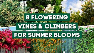 7 Best Flowering Vines amp Climbers to Plant for Summer Blooms 🌺  PlantDo Garden 💚 [upl. by Lenee]