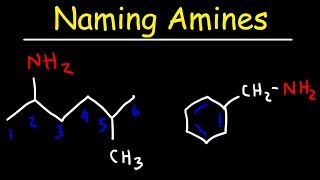 Naming Amines  IUPAC Nomenclature amp Common Names [upl. by Assedo]