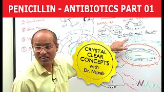 Penicillin  Antibiotics  Dr Najeeb  Part 14 [upl. by Latoniah856]