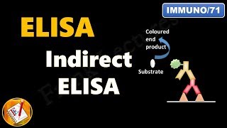 Indirect ELISA FLImmuno71 [upl. by Dazhehs]