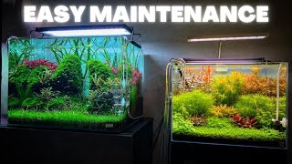 AQUARIUM MAINTENANCE FOR BEGINNERS  QUICK AND SIMPLE [upl. by Radloff609]