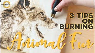 3 TIPS for Wood Burning Animal Fur  Pyrography Shading Skills [upl. by Brine]