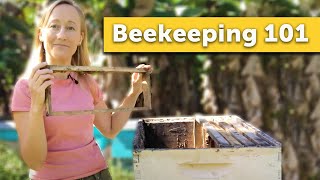 BEEKEEPING 101  How to Keep Bees for the Absolute Beginner Beekeeper [upl. by Theola]