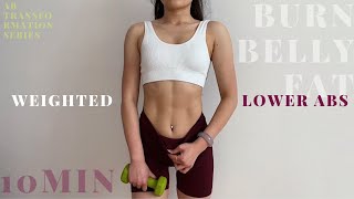 Weighted Lower Abs Workout quotBURN LOWER BELLY FATquot  Ab Transformation Series [upl. by Stoneman]