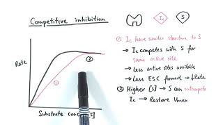 AS Biology  Enzyme inhibition OCR A Chapter 43 [upl. by Ramoj]