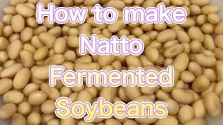 how to make Natto（fermented soybeans [upl. by Blackman415]