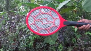 Killing hundreds of mosquitoes in minutesKeep the speakers on [upl. by Suedaht498]