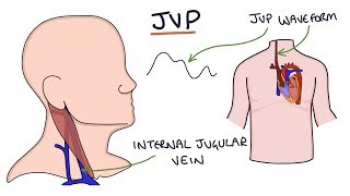 GORD GERD Gastro Oesophageal Reflux Disease  Overview pathophysiology treatment [upl. by Kries]