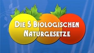 Die 5 Biologischen Naturgesetze  Die Dokumentation [upl. by Yelehsa]