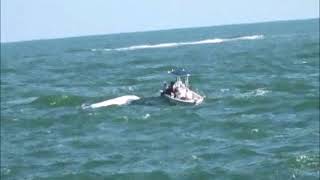 Capsized Boat Sebastian Inlet Fla [upl. by Madi807]