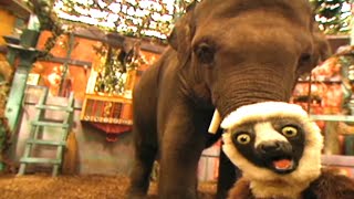 Zoboomafoo with the Kratt Brothers BABY ELEPHANT 2  Full Episodes Compilation [upl. by Onig]