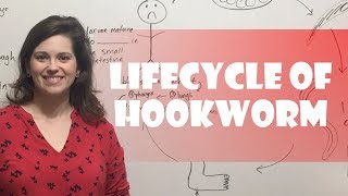 Lifecycle of Hookworm [upl. by Yerahcaz]