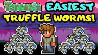 EASIEST TERRARIA TRUFFLE WORM FARM Simple Truffle Worm Farm Design Beginner Guide Step By Step [upl. by Akiv]