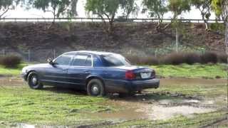 Lady And Mud Puddle Disaster [upl. by Camille]