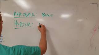 Hypoxia vs Hypoxemia Know the Difference [upl. by Marie-Ann]