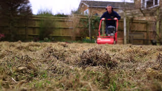 Lawn Scarification  Correct Scarification Procedure [upl. by Chiquita]