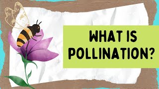 Pollination For Kids [upl. by Bette]