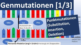 Genmutationen 13 Punktmutationen Insertion Substitution Deletion  Genetik Oberstufe [upl. by Enavi]