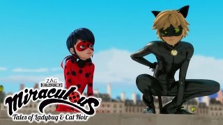 Miraculous Ladybug  ANIMAN  Ladybug and Cat Noir [upl. by Trixy]