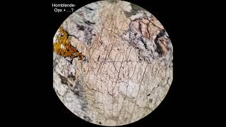 Hornblende tutorial Optical mineralogy [upl. by Marra447]