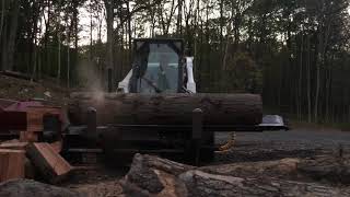 20” Log VS Halverson Wood Processor HWP140b [upl. by Calbert]