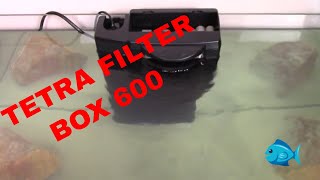 Tetra Filter Box 600 Review [upl. by Haerdna]