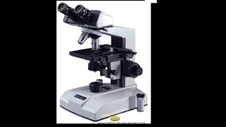 Micro Lab 3 Introduction to Compound Light Microscopy [upl. by Larina74]