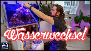 Wasserwechsel im Meerwasser Aquarium  AquaOwner [upl. by Florie290]