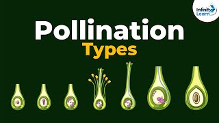 Types of Pollination  Dont Memorise [upl. by Ilram]