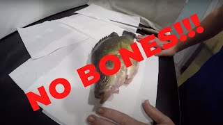 How To Fillet a Yellow Belly Golden Perch [upl. by Kra940]