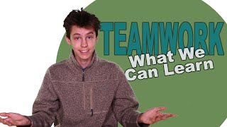 4 Things We Learn From TeamWork [upl. by Oniger]