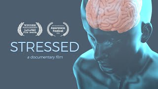 Stressed  A Documentary Film  4K OFFICIAL [upl. by Proulx194]