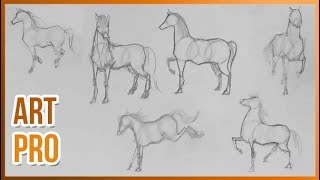 How to draw HORSES step by step 🐎 METHOD [upl. by Gnohc586]