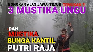 BONGKAR ALAS JAWATIMUR TEMUKAN INI [upl. by Polash107]