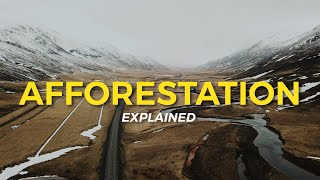 What is Afforestation  Eco Facts  One Tree Planted [upl. by Hillyer597]